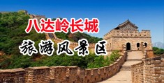 美女日B在线中国北京-八达岭长城旅游风景区